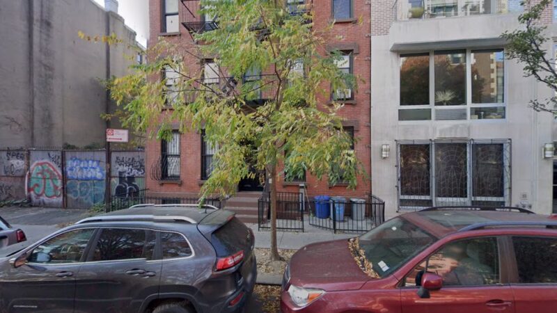 dogger Dog Walker, & Pet Sitter - Brooklyn, NY