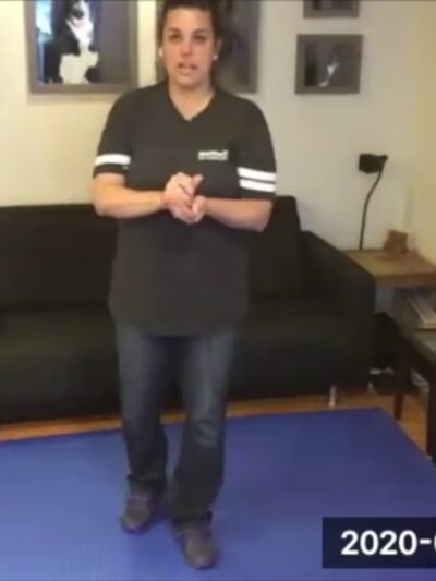 Doggie Academy - Brooklyn, NY