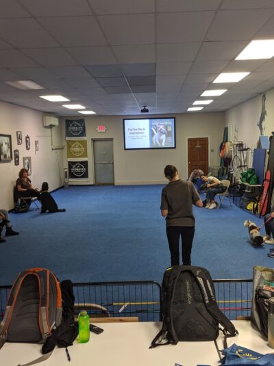 Doggie Academy - Brooklyn, NY