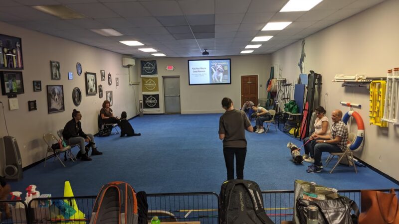 Doggie Academy - Brooklyn, NY