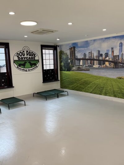 Dogpark Daycare Boarding &Grooming - Brooklyn, NY