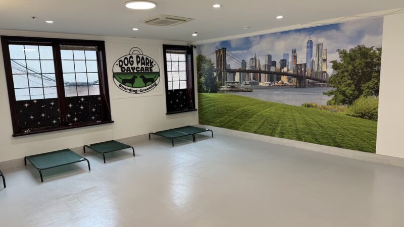 Dogpark Daycare Boarding &Grooming - Brooklyn, NY