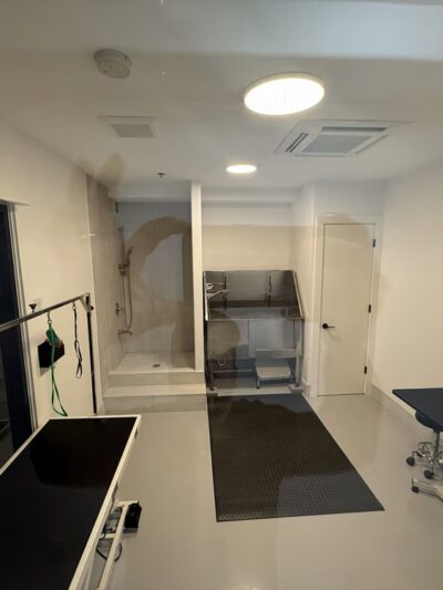 Dogpark Daycare Boarding &Grooming - Brooklyn, NY