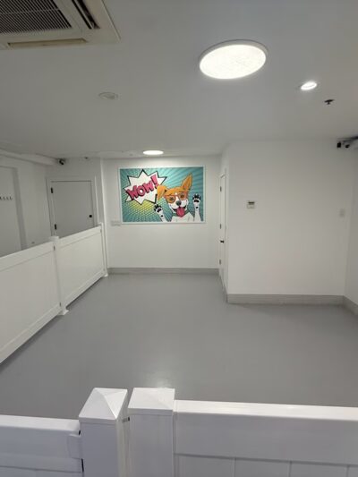 Dogpark Daycare Boarding &Grooming - Brooklyn, NY