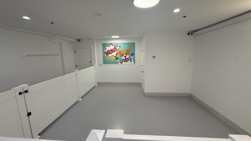 Dogpark Daycare Boarding &Grooming - Brooklyn, NY