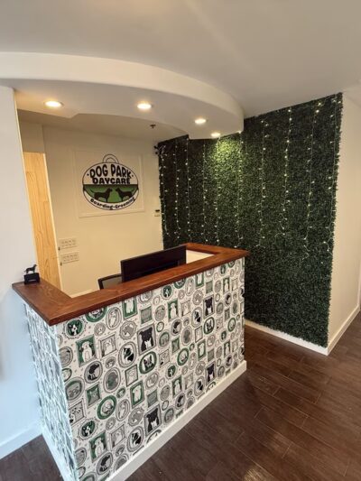 Dogpark Daycare Boarding &Grooming - Brooklyn, NY