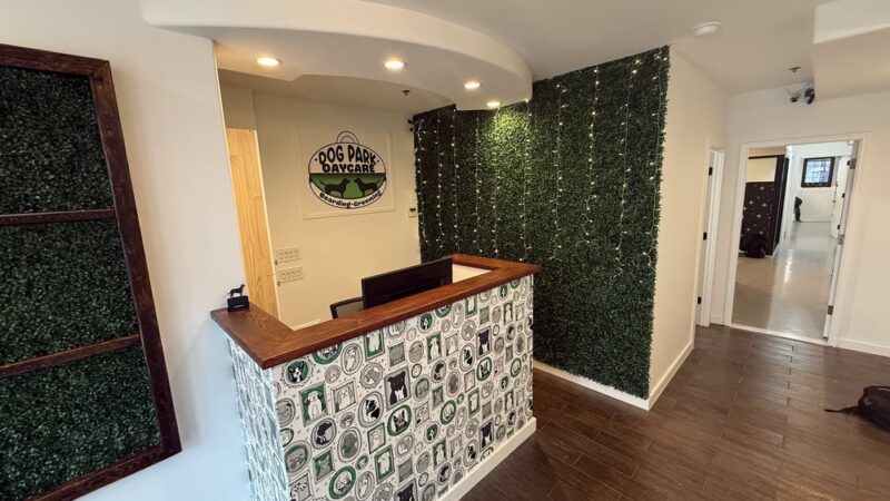 Dogpark Daycare Boarding &Grooming - Brooklyn, NY