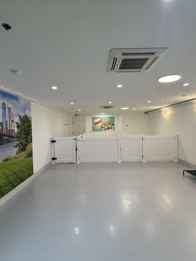 Dogpark Daycare Boarding &Grooming - Brooklyn, NY