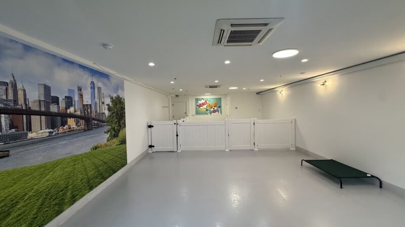 Dogpark Daycare Boarding &Grooming - Brooklyn, NY