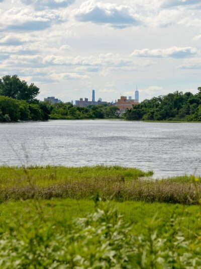 Fresh Creek Nature Preserve - Brooklyn, NY