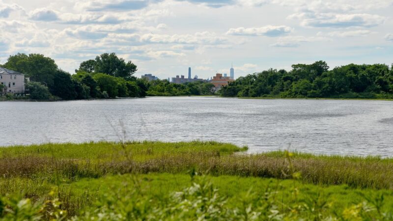 Fresh Creek Nature Preserve - Brooklyn, NY