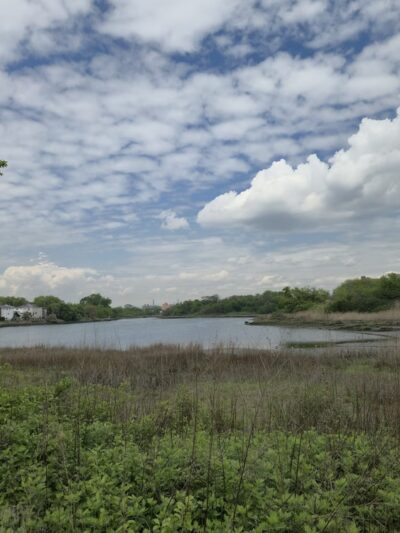 Fresh Creek Nature Preserve - Brooklyn, NY