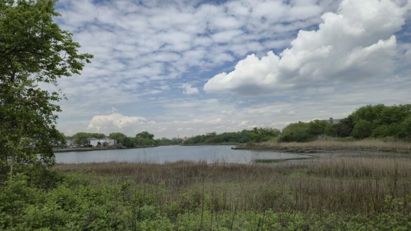 Fresh Creek Nature Preserve - Brooklyn, NY