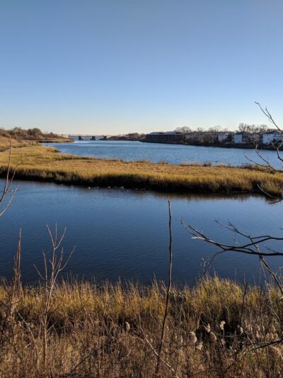 Fresh Creek Nature Preserve - Brooklyn, NY