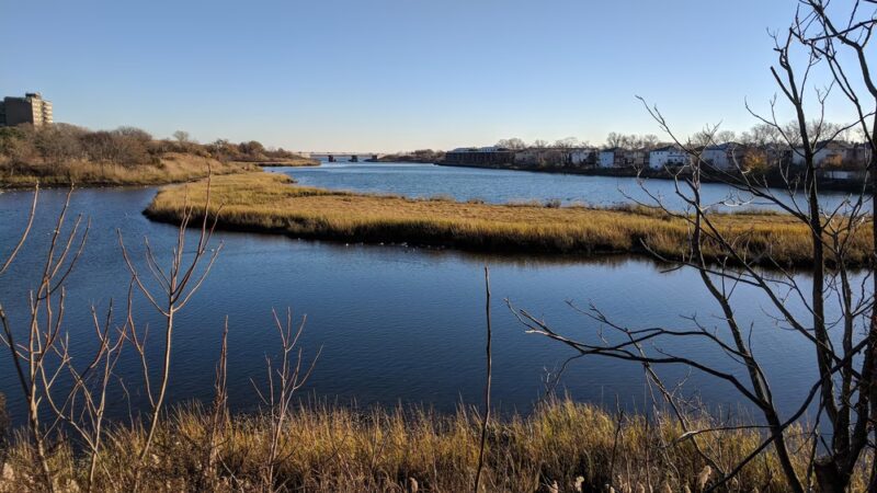 Fresh Creek Nature Preserve - Brooklyn, NY