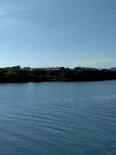 Fresh Creek Nature Preserve - Brooklyn, NY