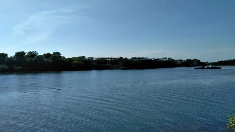 Fresh Creek Nature Preserve - Brooklyn, NY