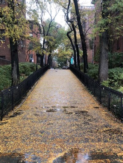 Fruit Street Sitting Area - Brooklyn, NY