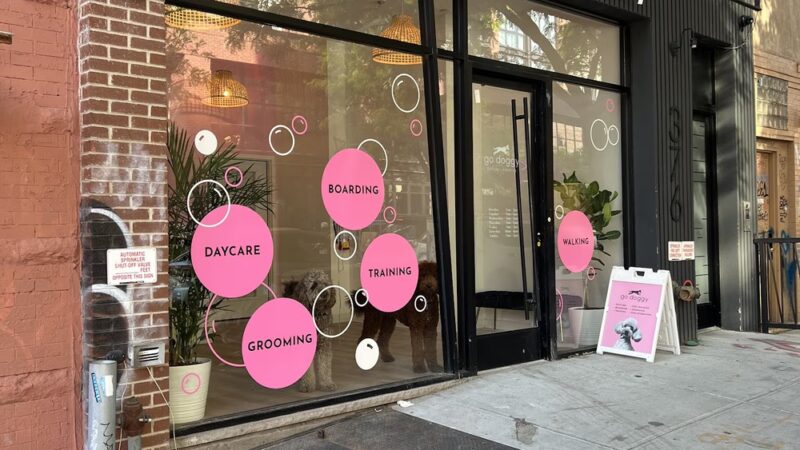 Go Doggy - Brooklyn, NY