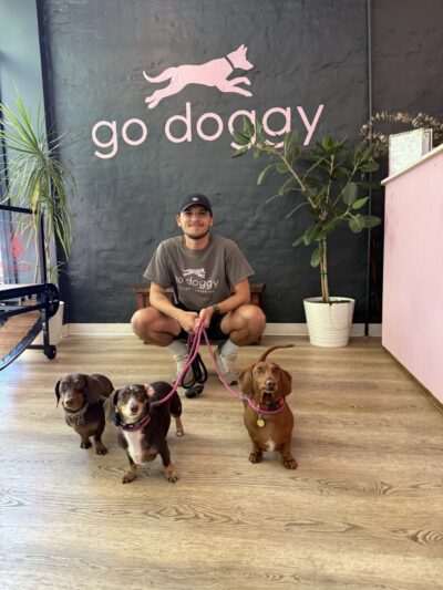 Go Doggy - Brooklyn, NY