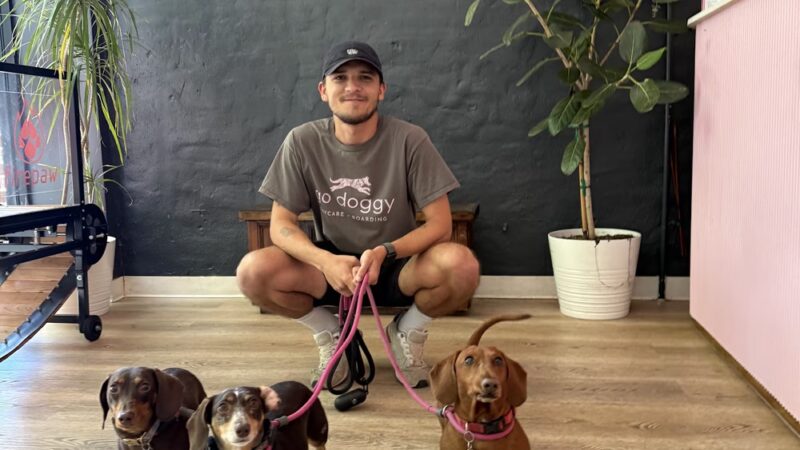 Go Doggy - Brooklyn, NY