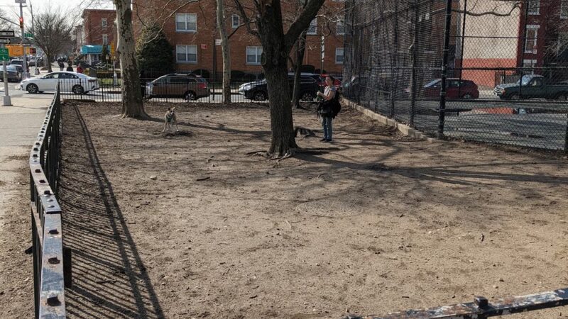 Greenwood Dog Run - Brooklyn, NY