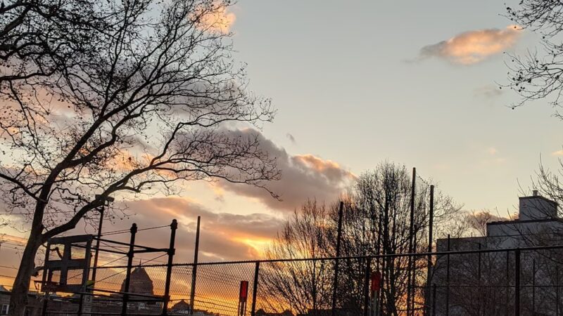 Hamilton Metz Field - Brooklyn, NY