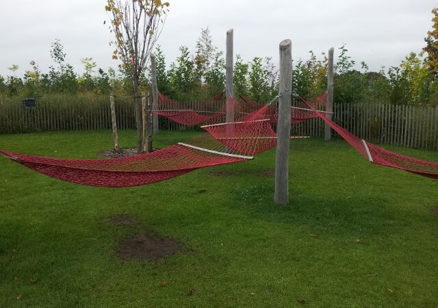 Hammock Grove - Brooklyn, NY