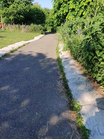 Hammock Grove - Brooklyn, NY