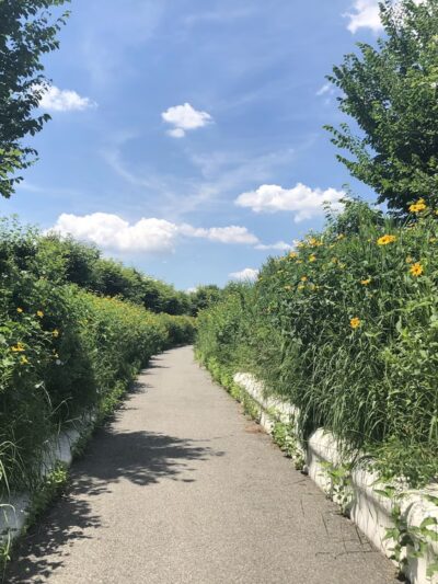 Hammock Grove - Brooklyn, NY