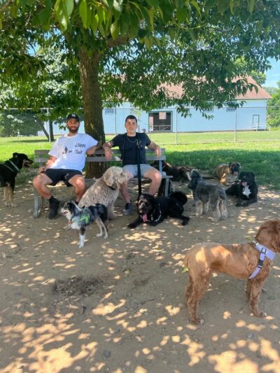 Happy Tails Dog Camp Brooklyn - Brooklyn, NY