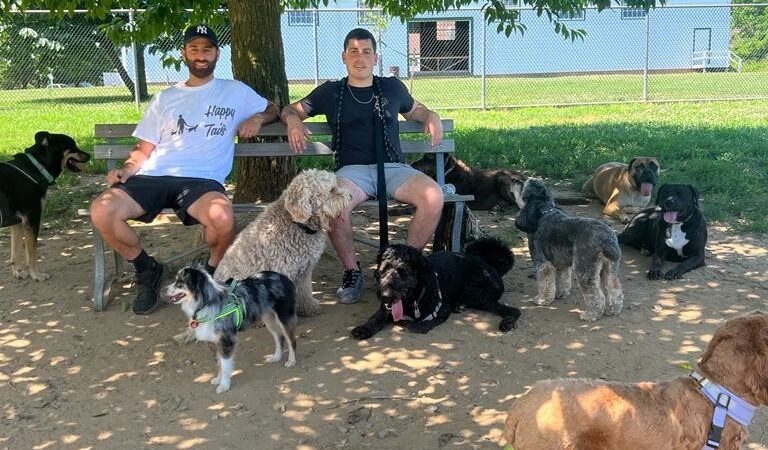 Happy Tails Dog Camp Brooklyn - Brooklyn, NY