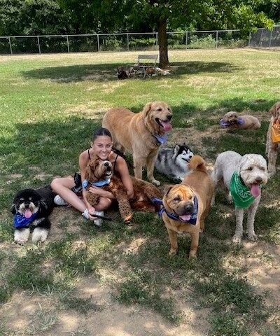 Happy Tails Dog Camp Brooklyn - Brooklyn, NY