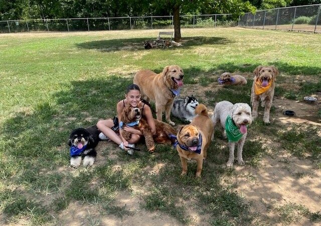 Happy Tails Dog Camp Brooklyn - Brooklyn, NY