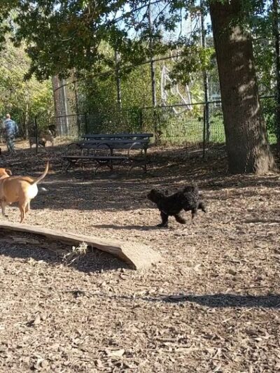 Herbert Von King Park - Brooklyn, NY