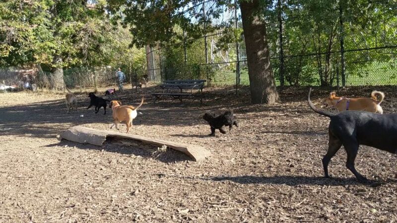 Herbert Von King Park - Brooklyn, NY