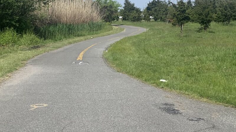 Jamaica Bay Trail - Brooklyn, NY