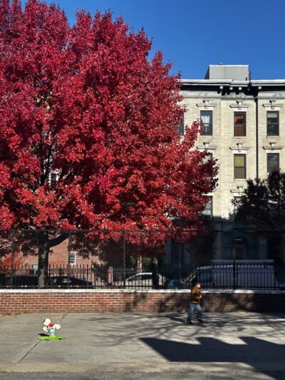 James Forten Playground - Brooklyn, NY