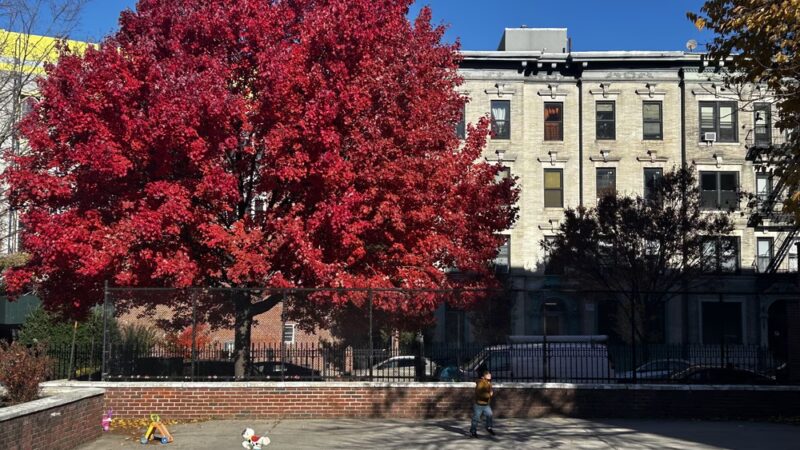 James Forten Playground - Brooklyn, NY