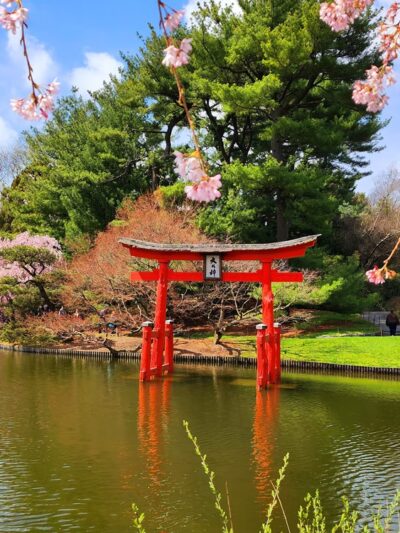 Japanese Hill-and-Pond Garden - Brooklyn, NY