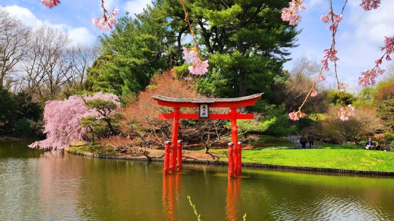 Japanese Hill-and-Pond Garden - Brooklyn, NY