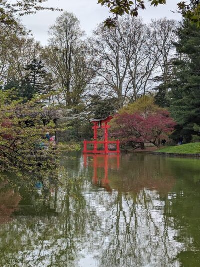 Japanese Hill-and-Pond Garden - Brooklyn, NY