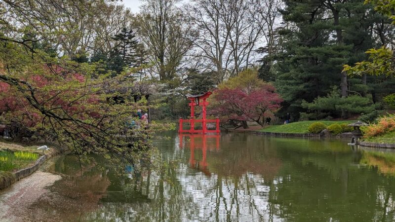 Japanese Hill-and-Pond Garden - Brooklyn, NY