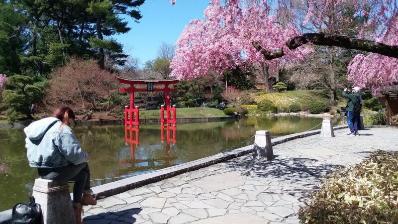 Japanese Hill-and-Pond Garden - Brooklyn, NY
