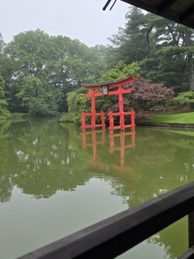 Japanese Hill-and-Pond Garden - Brooklyn, NY