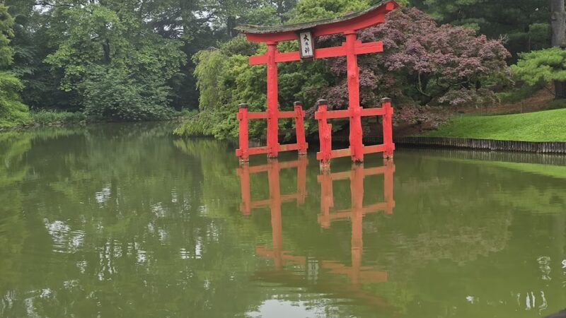 Japanese Hill-and-Pond Garden - Brooklyn, NY