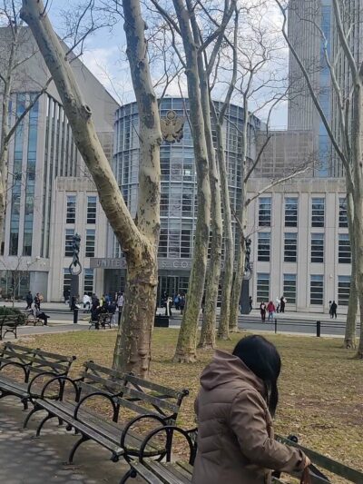 Juneteenth Grove - Brooklyn, NY