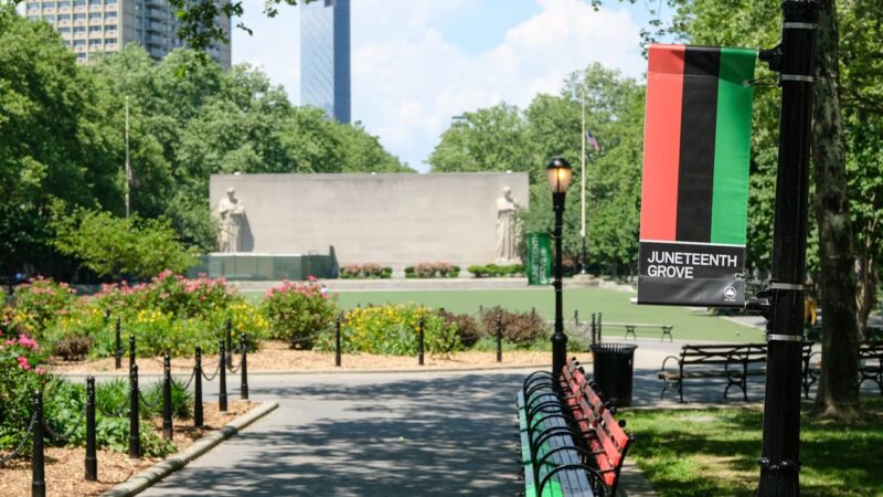 Juneteenth Grove - Brooklyn, NY