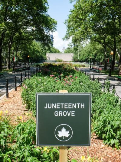 Juneteenth Grove - Brooklyn, NY