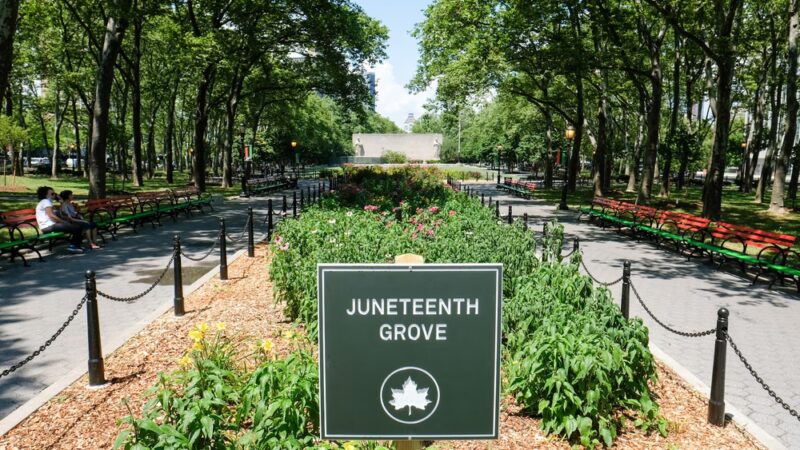 Juneteenth Grove - Brooklyn, NY